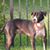 David C. Vitale's profile image