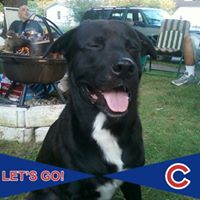 Kim Canada's profile image