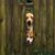 Jodi Sanderson's profile image