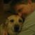 Tim Harter's profile image