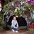 Ana Vivian Ulzame Dumlao's profile image