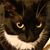 Jean Arena's profile image