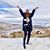 Ciana Sue's profile image