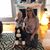 April Matthews Stancil's profile image