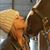 Tina Cleaton Grava's profile image