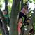 Linda Carroll Crawford's profile image
