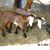Debra Middleton's profile image