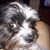 Kathy Stanley's profile image