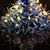 Denise Clements's profile image
