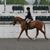 Jam Lee TePoel's profile image