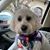 Linda Sullivan's profile image