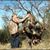 Rex Burney's profile image