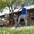David Garay's profile image