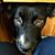 Devon Truscott's profile image