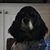 Susan Morton Hancock's profile image