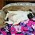 Tammy Childs's profile image
