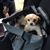 Lori Catalfamo Lombardi's profile image