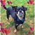 Sheri Esser's profile image