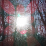Doris G. H.'s profile image