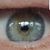 Patrick Nelson's profile image