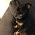 Mindy Goldstein's profile image