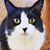Sharon Carroll's profile image