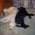 Dorothy Maxey Money's profile image