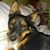 Deryk Kraemer's profile image