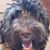 Shannon Phillips's profile image