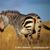 Timothy Murphy's profile image