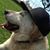Rigoberto Jimenez's profile image