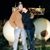 Terri Lynn's profile image