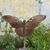 Christine Donihue Windham's profile image