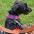 Sue Bauer Sivula's profile image