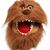 Amy Coates's profile image