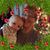 Vanessa Fisher Purl's profile image