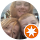 Shannon Knight avatar