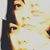 Jamie Angelica Canuteson's profile image