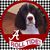Steve Chodrick's profile image