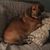 Taryn Crayton's profile image