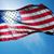 Susan Piele's profile image
