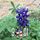 lorita.davis.1's profile image