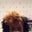 Ulina .'s profile image