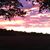 Deb Elliott's profile image