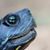 Carrie Lynn Rapp Macias's profile image
