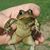 Kris Seeley Kessel's profile image