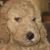 Maureen Holt's profile image