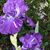 Deb Hill Bonner's profile image