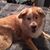 Dawn Marie Olson's profile image