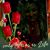 Carol Edwards's profile image